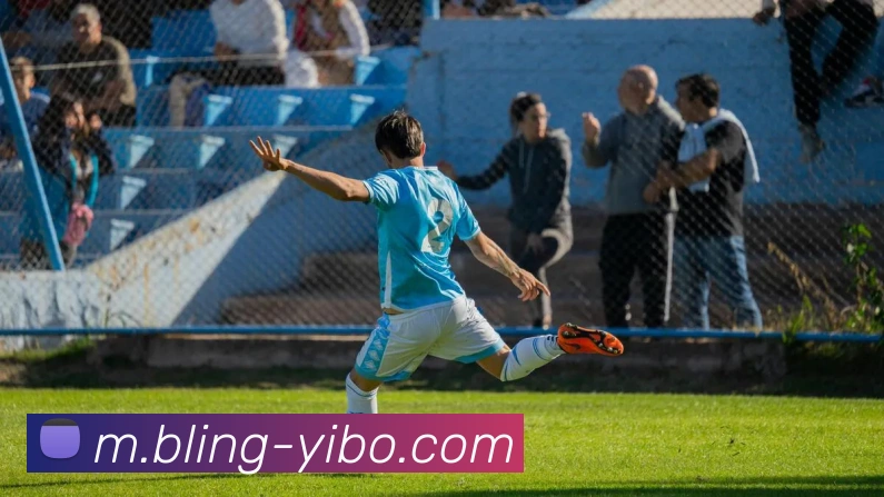 奖项证书